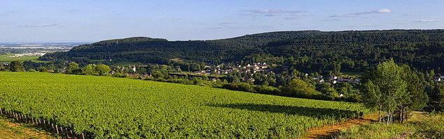 Savigny-lès-Beaune