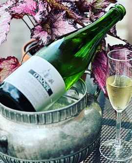 CRÉMANT D'ALSACE 'Extra-Brut' · Domaine Mader CRÉMANT D'ALSACE 'Extra-Brut' · Domaine Mader
