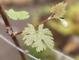 Velkommen til VIN2 Velkommen til VIN2
