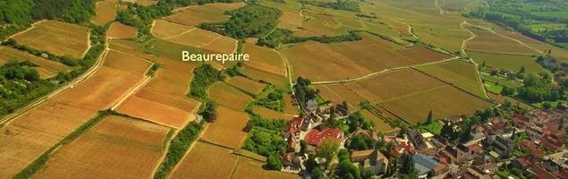 Premier Cru Beaurepaire · Santenay