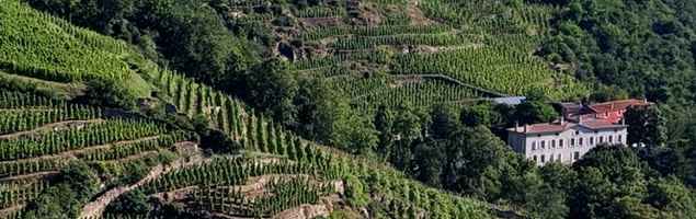 Domaine de Corps de Loup · Tupin-et-Semons