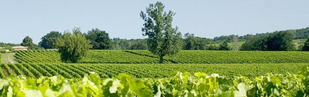 Château du Courlat · Lussac-Saint-Émilion Château du Courlat · Lussac-Saint-Émilion