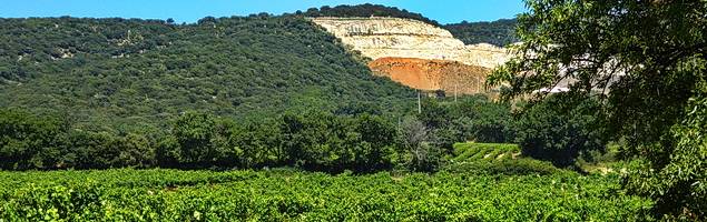 Domaine de Grangeneuve · Roussas