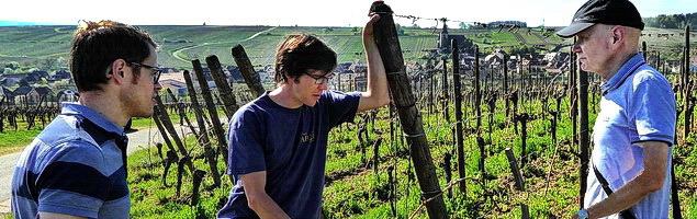 Lars Lau, Jérôme Mader og Ole Lau · Grand Cru Rosacker · Hunawihr Lars Lau, Jérôme Mader og Ole Lau · Grand Cru Rosacker · Hunawihr