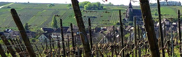 Grand Cru Rosacker · Hunawihr Grand Cru Rosacker · Hunawihr