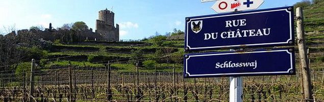 Grand Cru Schlossberg · Kientzheim / Kaysersberg Grand Cru Schlossberg · Kientzheim / Kaysersberg