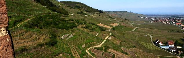 Grand Cru Schlossberg · Kientzheim / Kaysersberg