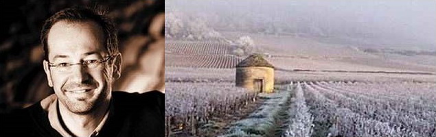 Thibault Marion · Domaine Seguin-Manuel · Beaune Thibault Marion · Domaine Seguin-Manuel · Beaune