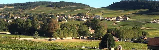 L. Tramier & Fils · Mercurey L. Tramier & Fils · Mercurey