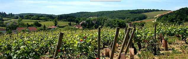 L. Tramier & Fils · Mercurey L. Tramier & Fils · Mercurey